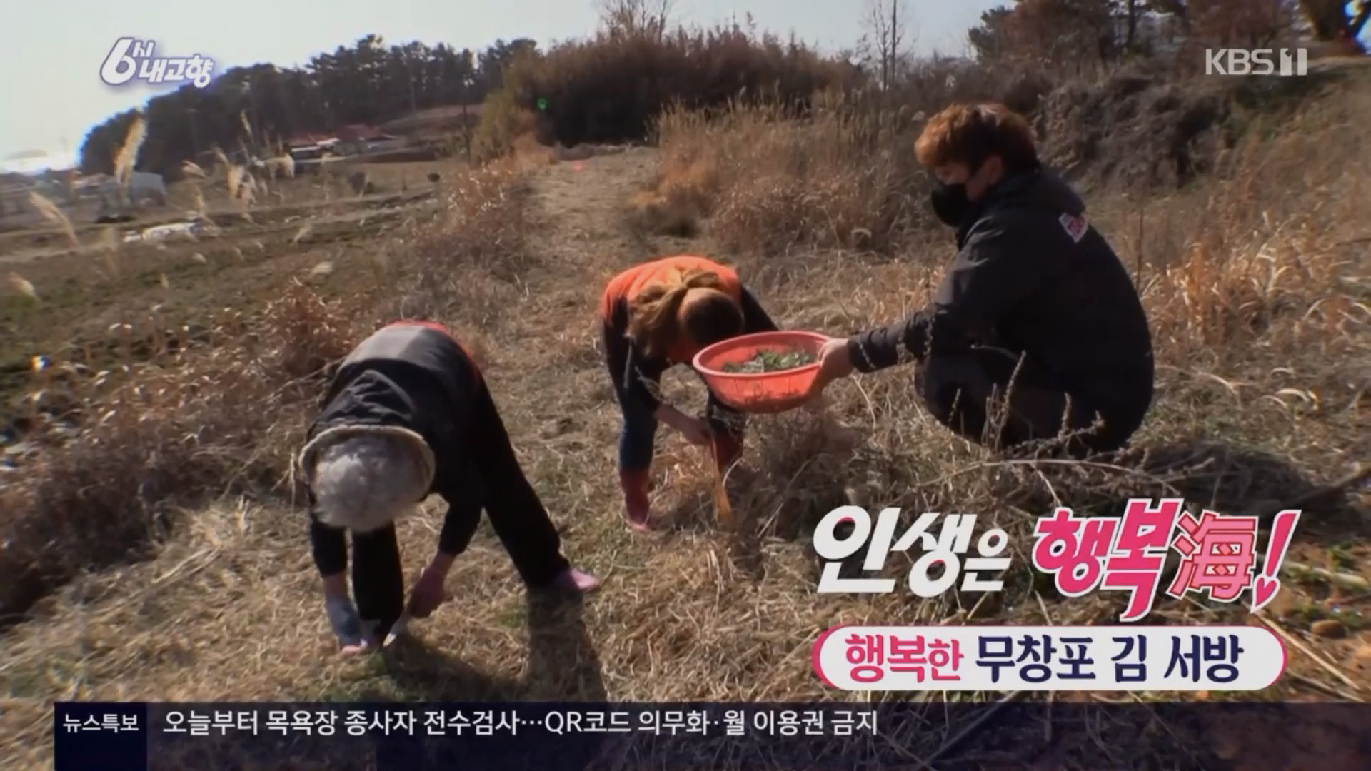 [0322 KBS 6시내고향] 보령시 행복한 무창포 김서방